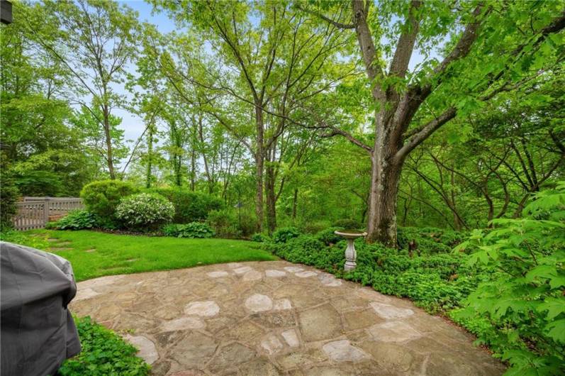 Patio off breakfast room.