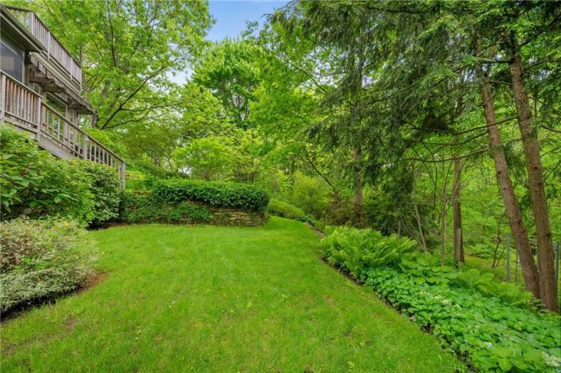 Yard behind home.