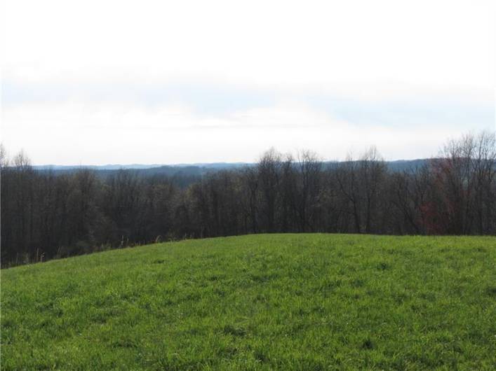 0 Drift Ridge Road / Sheppard Run, Spraggs, PA 15362, ,Farm-acreage-lot,For Sale,Drift Ridge Road / Sheppard Run,1701406