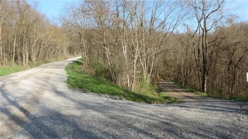 0 Drift Ridge Road / Sheppard Run, Spraggs, PA 15362, ,Farm-acreage-lot,For Sale,Drift Ridge Road / Sheppard Run,1701406