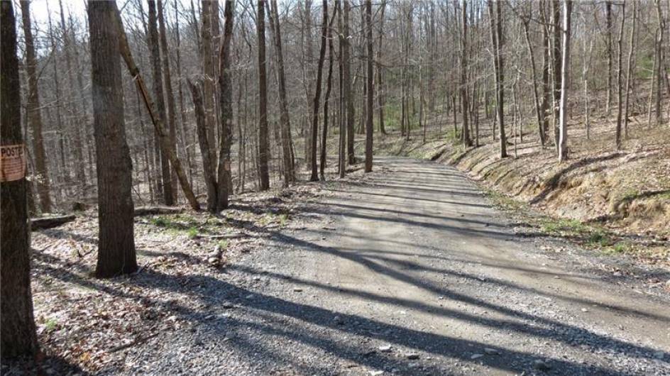 0 Drift Ridge Road / Sheppard Run, Spraggs, PA 15362, ,Farm-acreage-lot,For Sale,Drift Ridge Road / Sheppard Run,1701406