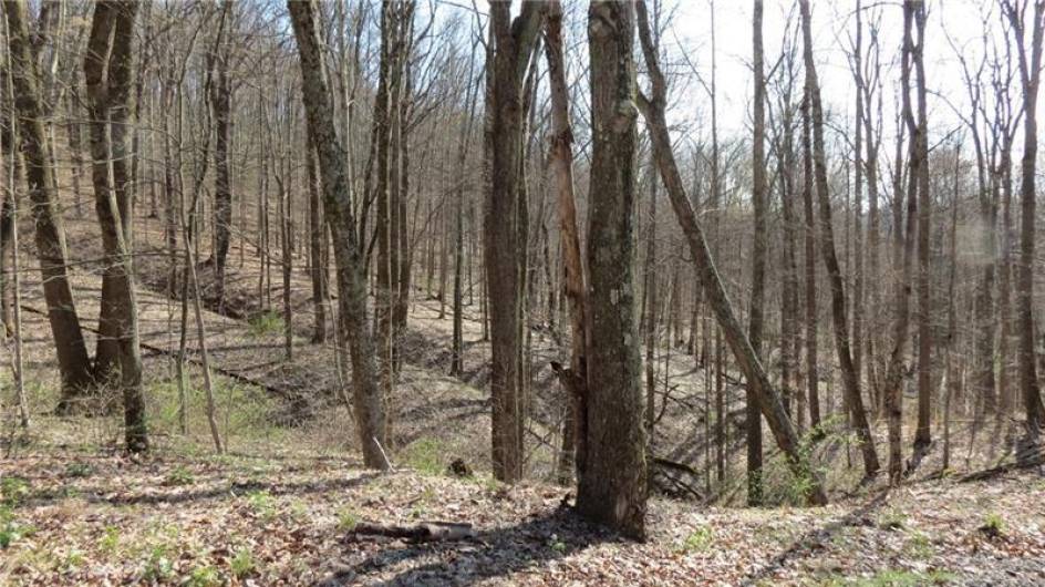 0 Drift Ridge Road / Sheppard Run, Spraggs, PA 15362, ,Farm-acreage-lot,For Sale,Drift Ridge Road / Sheppard Run,1701406