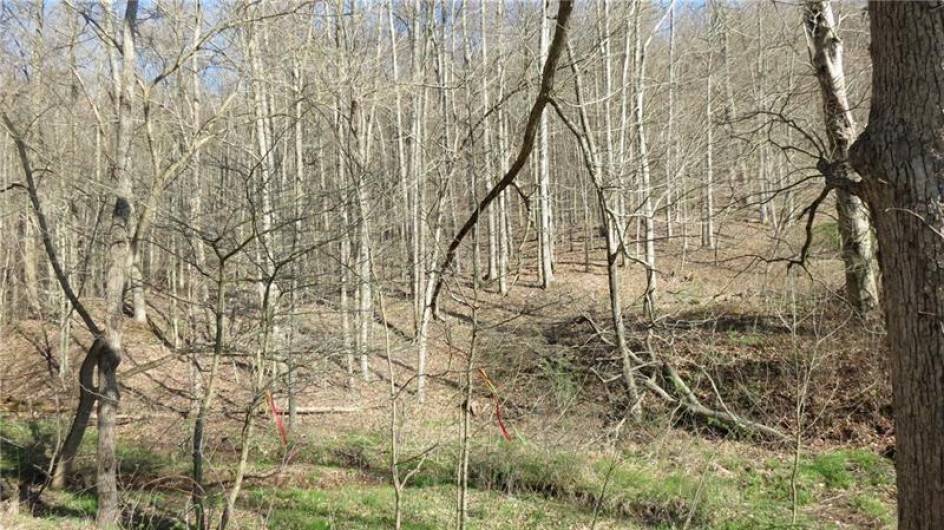 0 Drift Ridge Road / Sheppard Run, Spraggs, PA 15362, ,Farm-acreage-lot,For Sale,Drift Ridge Road / Sheppard Run,1701406