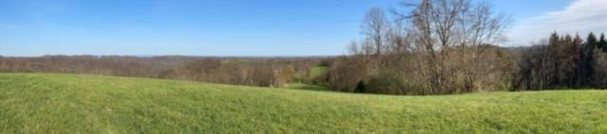 0 Drift Ridge Road / Sheppard Run, Spraggs, PA 15362, ,Farm-acreage-lot,For Sale,Drift Ridge Road / Sheppard Run,1701406