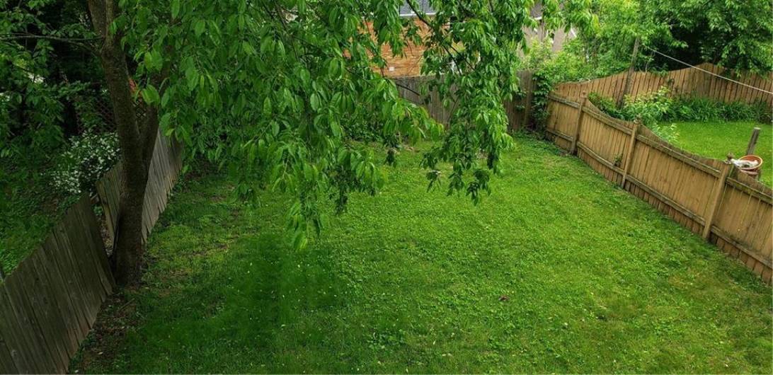 Beautiful fenced in back yard