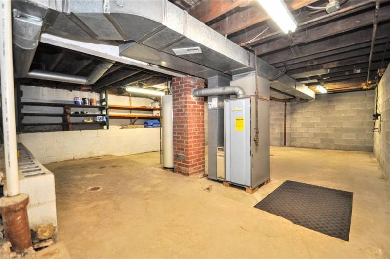 Main Basement Area