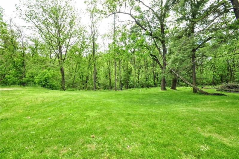 Rear Yard
