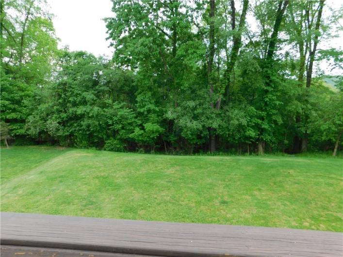 Fantastic back yard view from the deck.