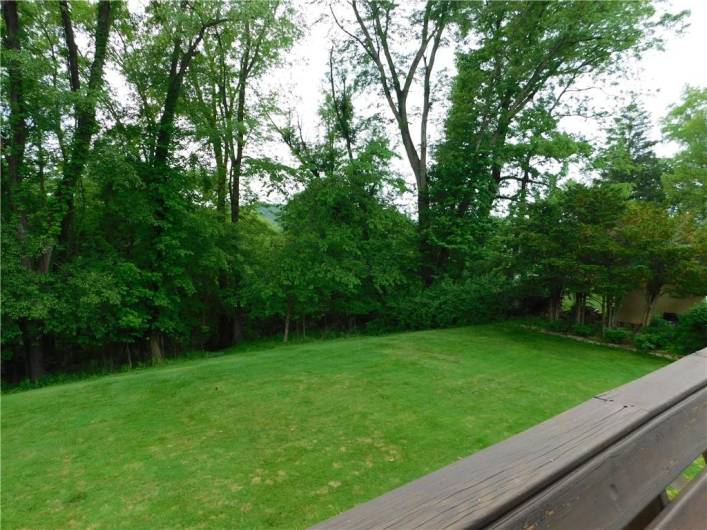 Parklike Back Yard.