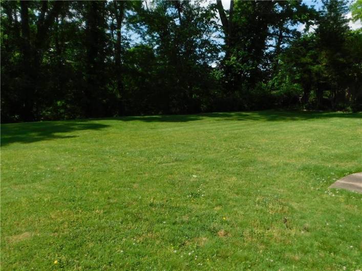 Private Parklike Back Yard.
