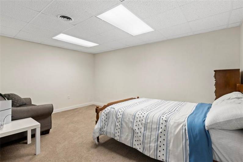 Finished bonus room on the lower level. Current owners are using it as a guest space