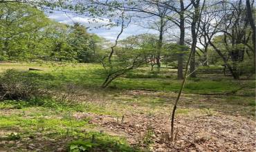 121 Twin Oaks, Ross, PA 15237, ,Farm-acreage-lot,For Sale,Twin Oaks,1702271