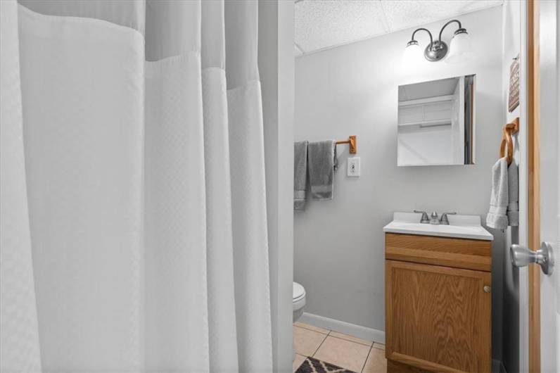 Full Bath in Game Room