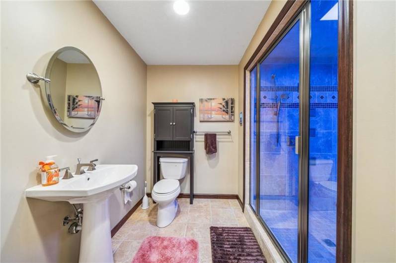 Rainhead shower with lights, music and steam in lower level bathroom