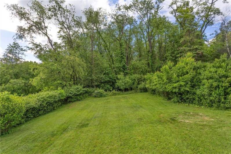 Rear Yard