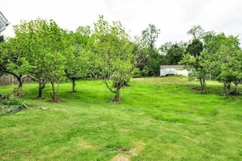 Here is the backyard with plenty of trees. and access from the back street.