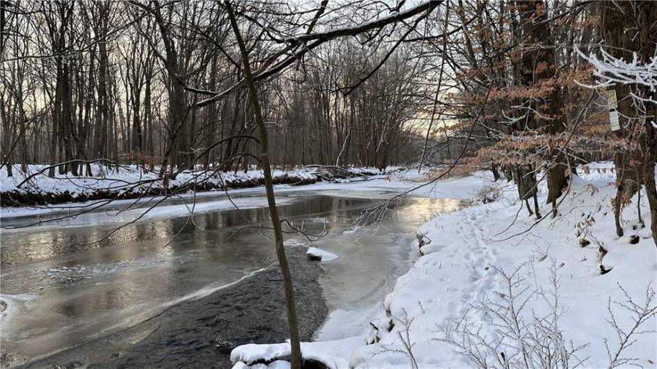 Winter scene along Wolf Creek