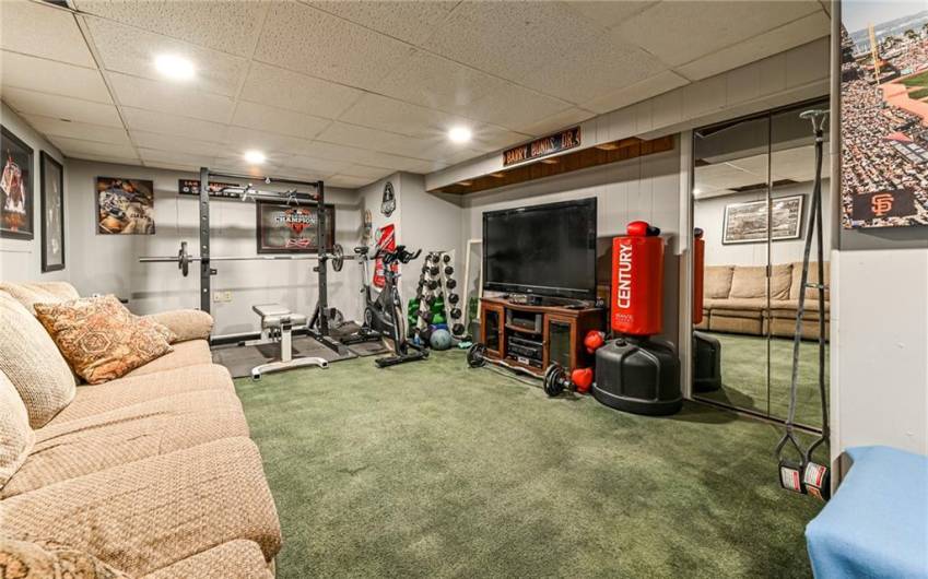 Finished game room.