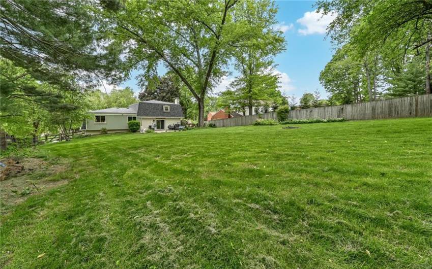Yard is completely fenced in and perfect for dogs and kids.