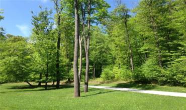 Lot 28 Grouse Point, Champion, PA 15622, ,Farm-acreage-lot,For Sale,Grouse Point,1703730