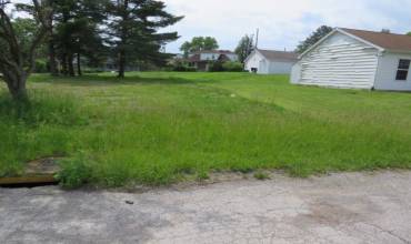507 Ferndale Ave, Duquesne, PA 15110, ,Farm-acreage-lot,For Sale,Ferndale Ave,1703749