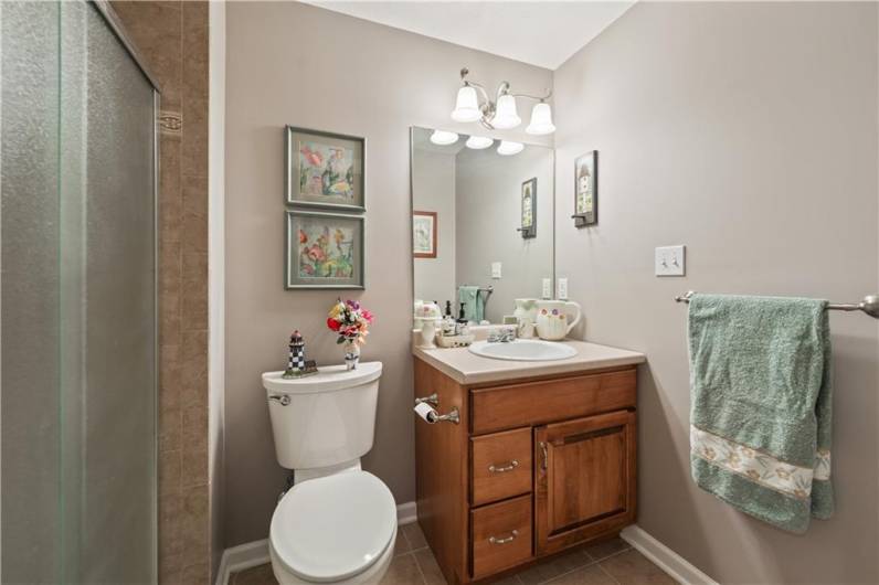 Lower-Level Bath with shower stall