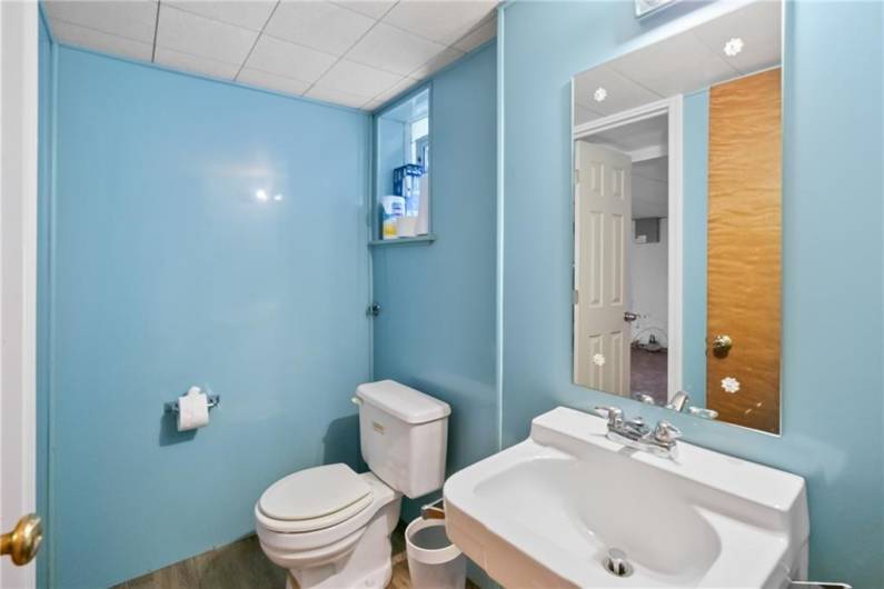 lower level bathroom
