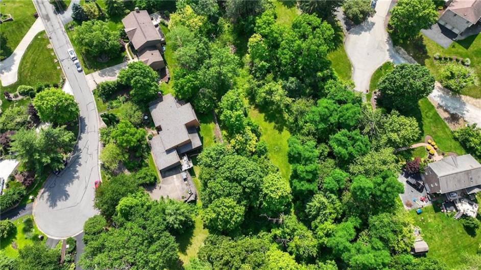Aerial view 1
