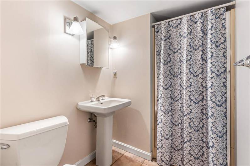 Lower level full bath.