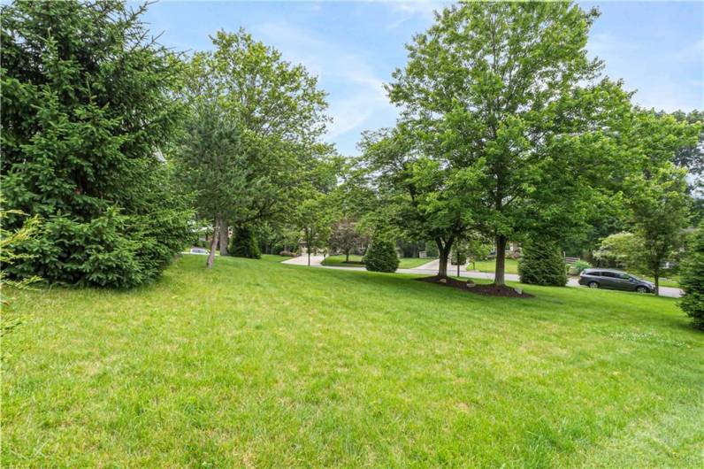 Huge side yard!