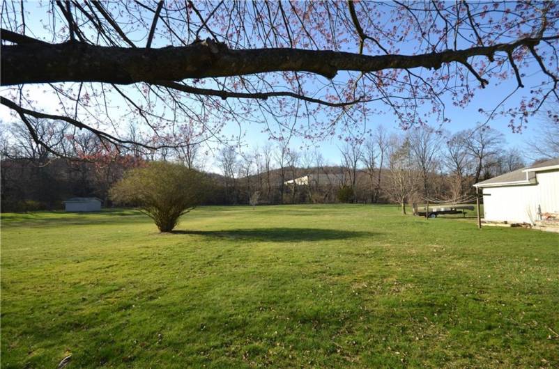 Rear Yard