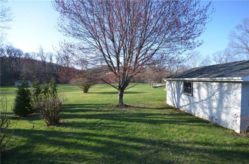 Rear yard with garage