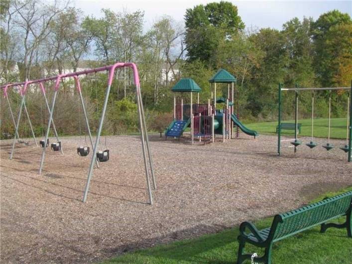 Let the kids run free at the Adams Ridge Park.