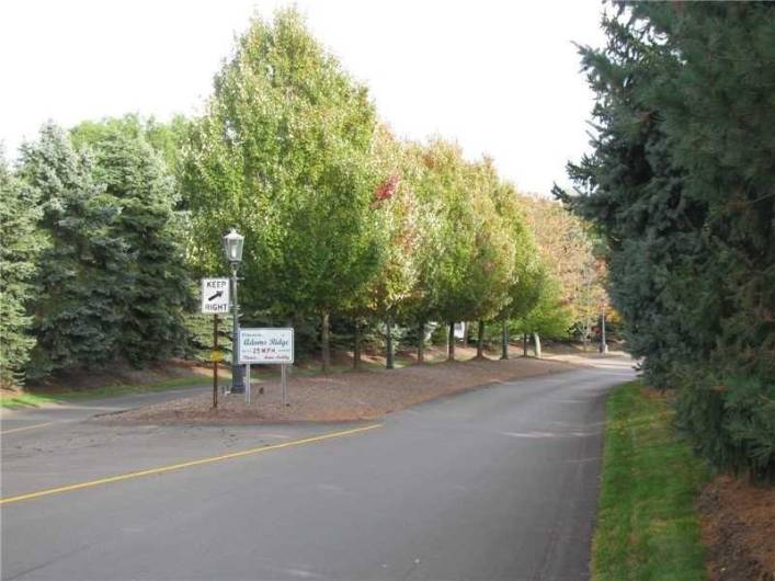 Popular Adams Ridge in the Mars Area SD.   You will love entering this beautiful community.