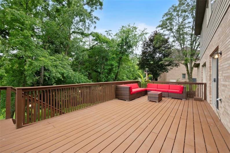 Elevate gatherings on this expansive composite deck, seamlessly flowing to a beautiful backyard patio and lush yard below