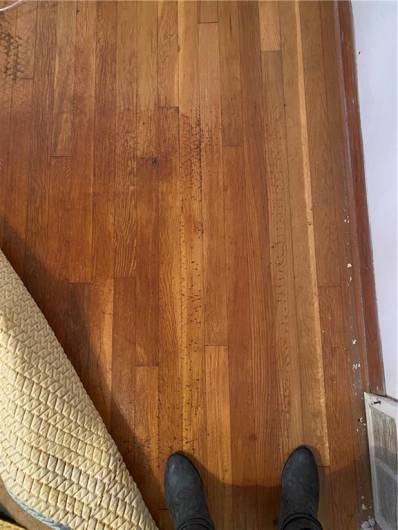 HARDWOOD UNDER CARPET