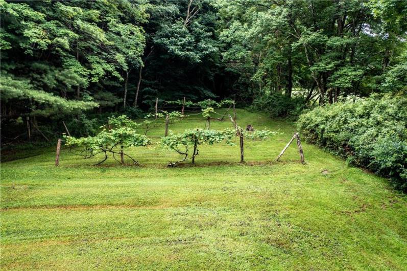 UPPER YARD