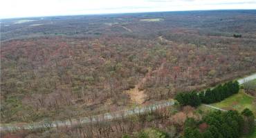 000 STATE ROUTE 168, Beaver Falls, PA 15009, ,Farm-acreage-lot,For Sale,STATE ROUTE 168,1706801