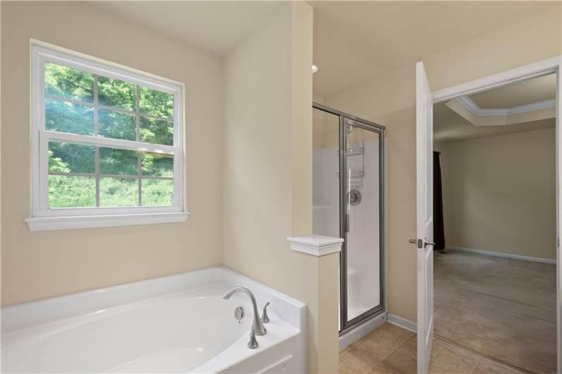 The full ensuite bath has a soaking tub and shower!