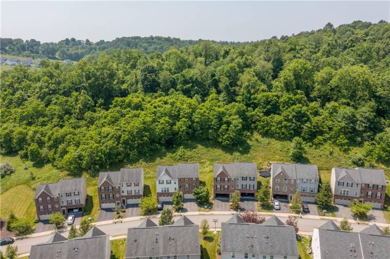 Aerial view of Hinsdale Ln! Private wooded view behind 8010 Hinsdale!