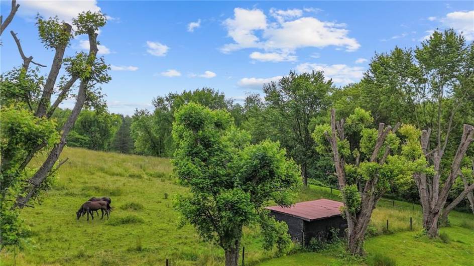 321 Dairy Farm Road, New Kensington, PA 15068, 3 Bedrooms Bedrooms, ,3 BathroomsBathrooms,Residential,For Sale,Dairy Farm Road,1706800