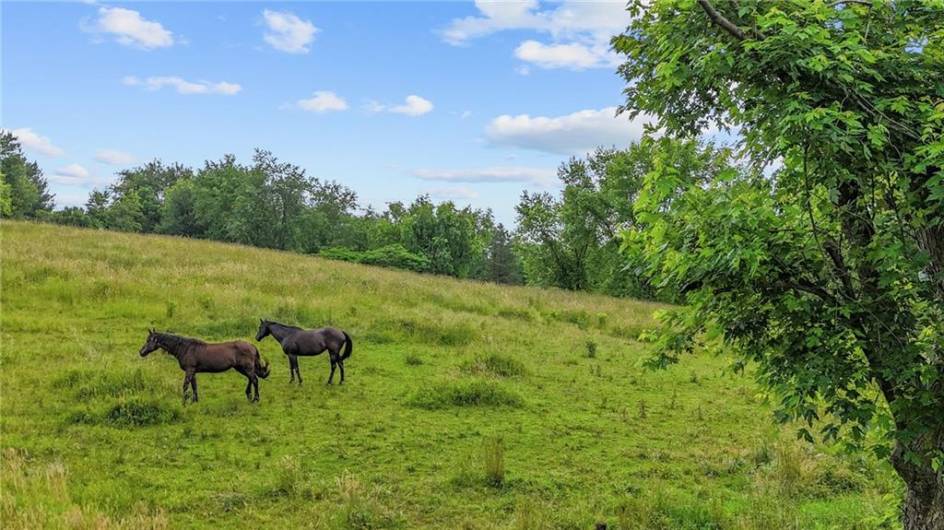 321 Dairy Farm Road, New Kensington, PA 15068, 3 Bedrooms Bedrooms, ,3 BathroomsBathrooms,Residential,For Sale,Dairy Farm Road,1706800