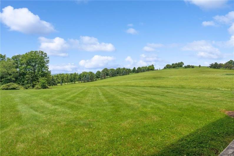 Expansive side yard views