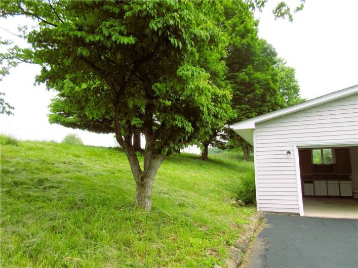 552 Heinz Camp Rd, Portersville, PA 16051, 3 Bedrooms Bedrooms, 7 Rooms Rooms,2 BathroomsBathrooms,Residential,For Sale,Heinz Camp Rd,1706830