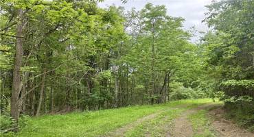 LOT 1 Nowhere Ln, Chicora, PA 16001, ,Farm-acreage-lot,For Sale,Nowhere Ln,1706845