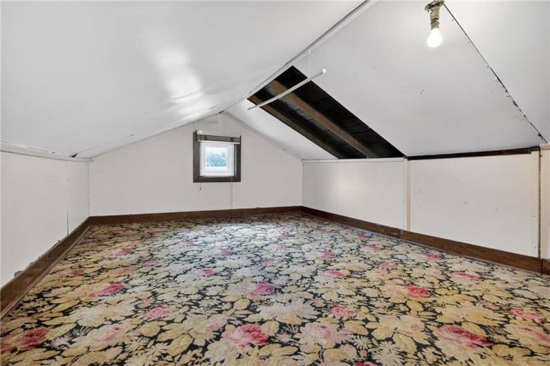 Attic Storage Area