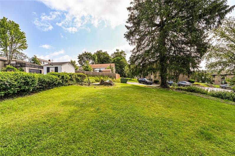 LARGE NEARLY LEVEL BACKYARD