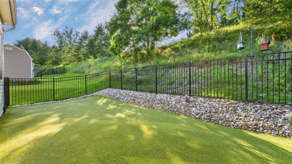 Fenced in Backyard