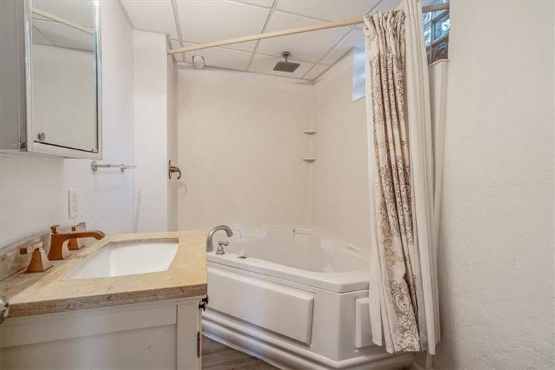 Jacuzzi Bathroom in Lower Level