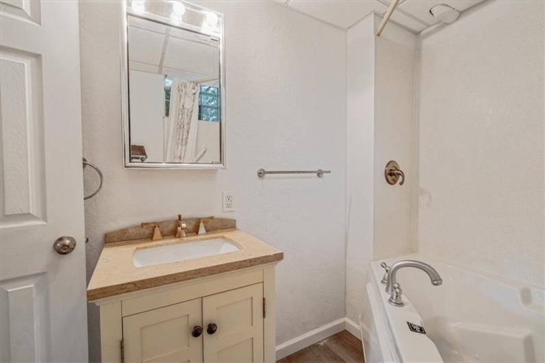 Lower Level Bath